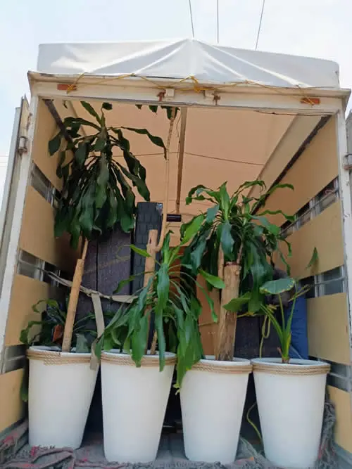 Transportes y Mudanzas Guzmán